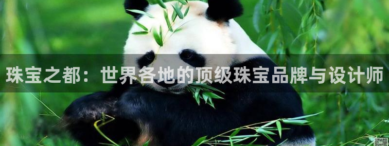 新宝j2O5O5O：珠宝之都：世界各地的顶级珠宝品牌与设计师