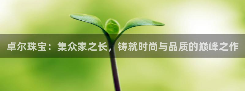 新宝5手机版登录：卓尔珠宝：集众家之长，铸就时尚与品质的巅峰之作