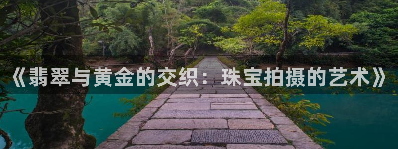 新宝5日谢29999：《翡翠与黄金的交织：珠宝拍摄的艺术》