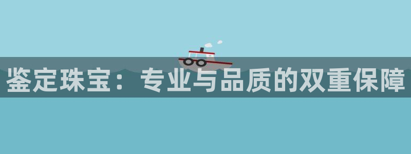 新宝股东张听2 5 5：鉴定珠宝：专业与品质的双重保障