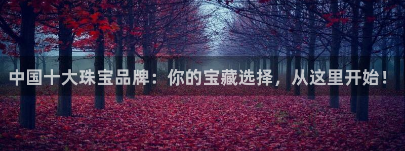 新宝5注册链接：中国十大珠宝品牌：你的宝藏选择，从这里开始！