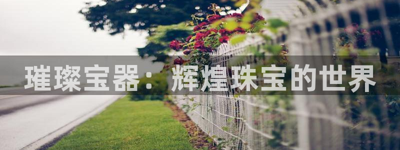 新宝5黑：璀璨宝器：辉煌珠宝的世界