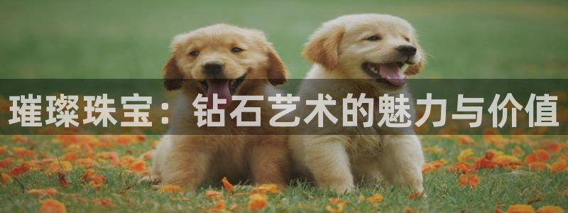 新宝5寻33 300球：璀璨珠宝：钻石艺术的魅力与价值