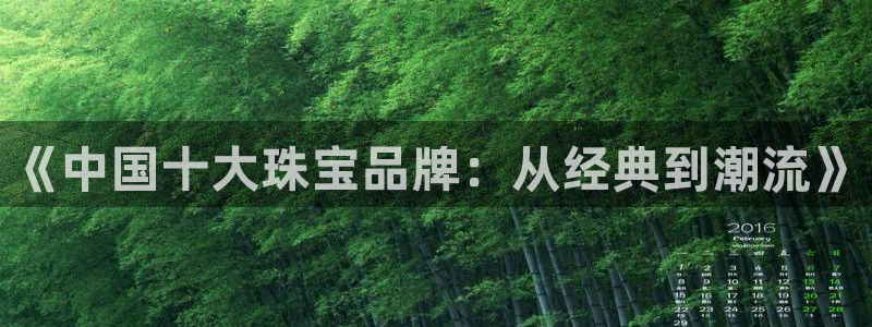 新宝新5：《中国十大珠宝品牌：从经典到潮流》