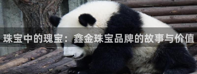 新宝5上来77542：珠宝中的瑰宝：鑫金珠宝品牌的故事与价值