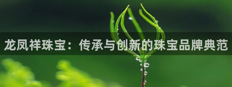 新宝5注册平台：龙凤祥珠宝：传承与创新的珠宝品牌典范