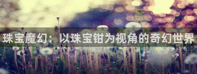 新宝5周74OOO5：珠宝魔幻：以珠宝钳为视角的奇幻世界