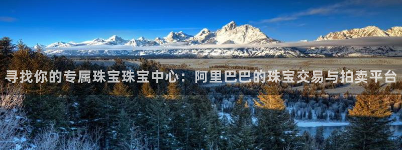 新宝5网址：寻找你的专属珠宝珠宝中心：阿里巴巴的珠宝交易与拍卖平台