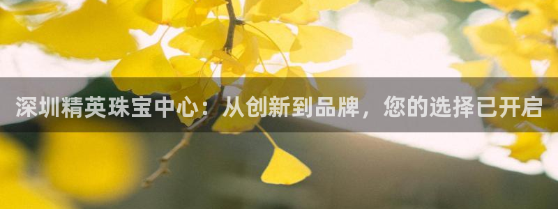 新宝5下载app：深圳精英珠宝中心：从创新到品牌，您的选择已开启