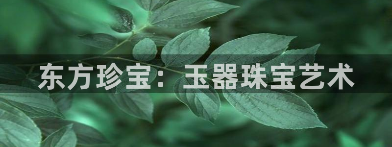 新宝5登录地址：东方珍宝：玉器珠宝艺术