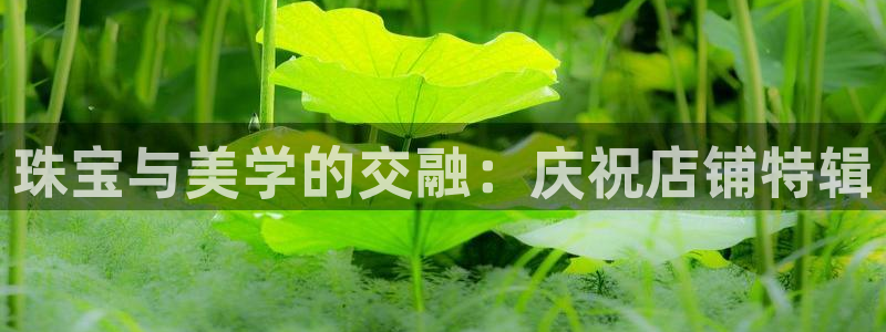 新宝5官方登录入口：珠宝与美学的交融：庆祝店铺特辑