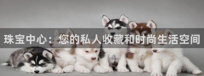 新宝5注册登录：珠宝中心：您的私人收藏和时尚生活空间