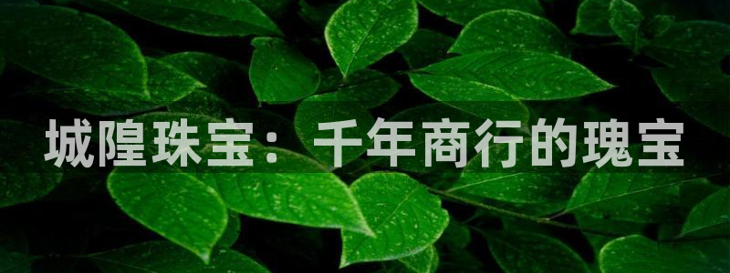 新宝5登录平台：城隍珠宝：千年商行的瑰宝