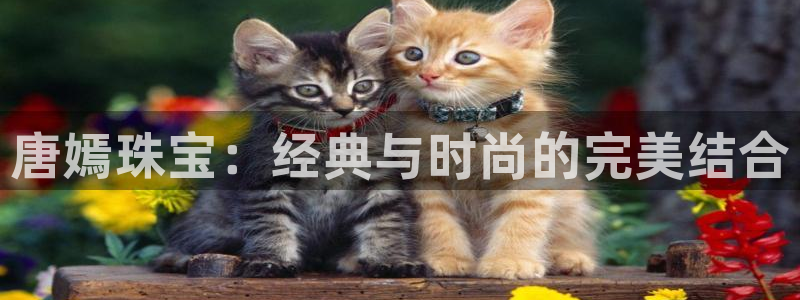 新宝5黑：唐嫣珠宝：经典与时尚的完美结合