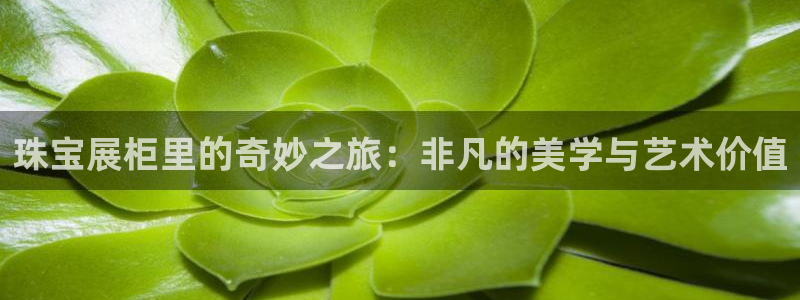 新宝5是什么样子的：珠宝展柜里的奇妙之旅：非凡的美学与艺术价值