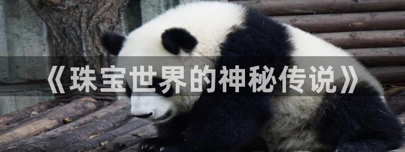 新宝5娱乐平台：《珠宝世界的神秘传说》