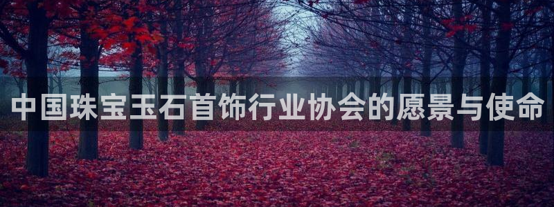 新宝5注册测速登录：中国珠宝玉石首饰行业协会的愿景与使命