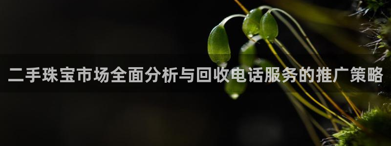新宝5娱乐都：二手珠宝市场全面分析与回收电话服务的推广策略