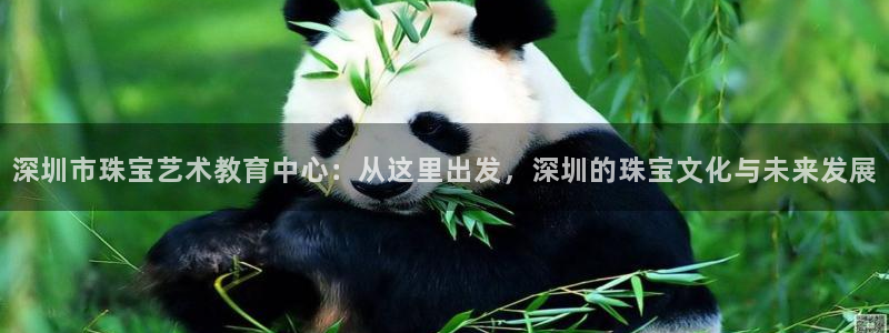 新宝5上来77542：深圳市珠宝艺术教育中心：从这里出发，深圳的珠宝文化与未来发