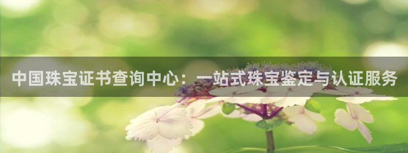 新宝5登录地址：中国珠宝证书查询中心：一站式珠宝鉴定与认证服务