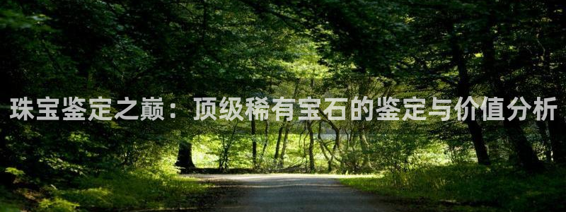 新宝5测速登陆：珠宝鉴定之巅：顶级稀有宝石的鉴定与价值分析