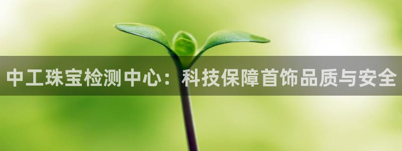 新宝5测速下载：中工珠宝检测中心：科技保障首饰品质与安全