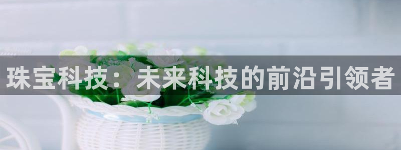 新宝5公司：珠宝科技：未来科技的前沿引领者