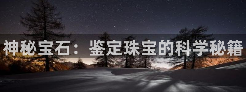 新宝5后：神秘宝石：鉴定珠宝的科学秘籍